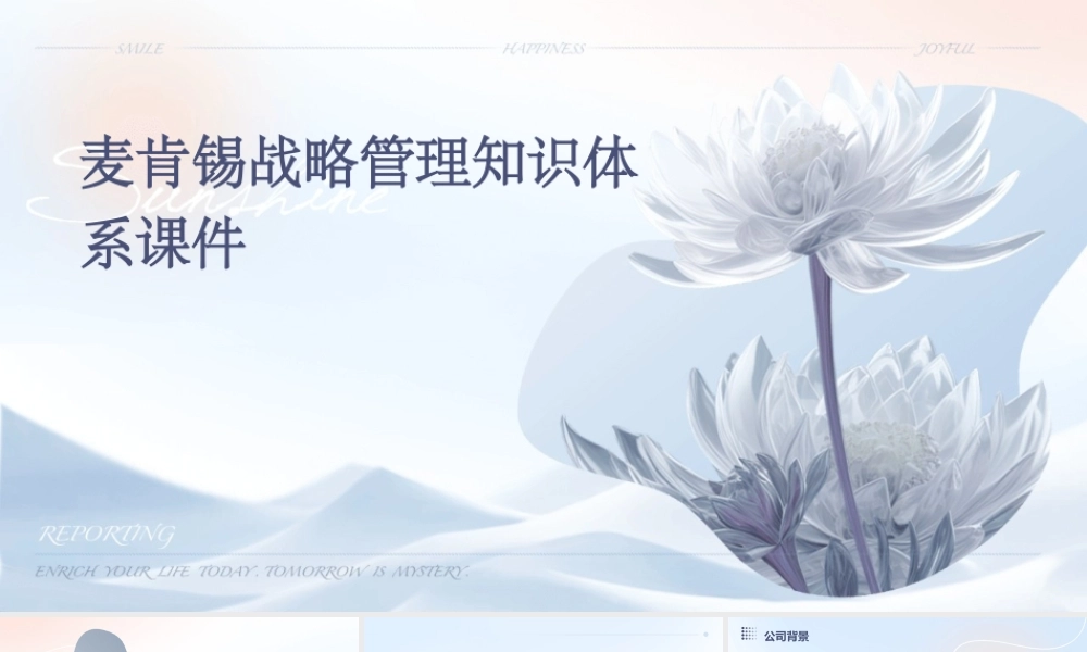 麦肯锡战略管理知识体系课件