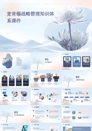 麦肯锡战略管理知识体系课件