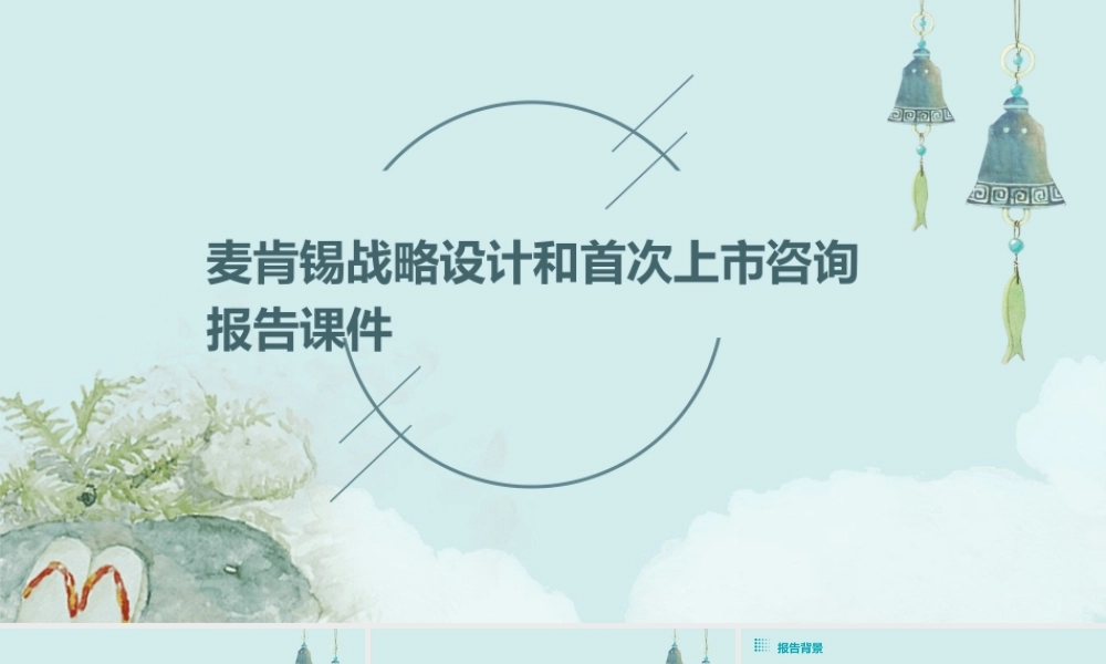 麦肯锡战略设计和首次上市咨询报告课件