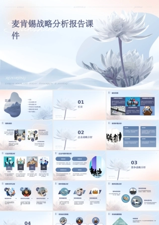 麦肯锡战略分析报告课件