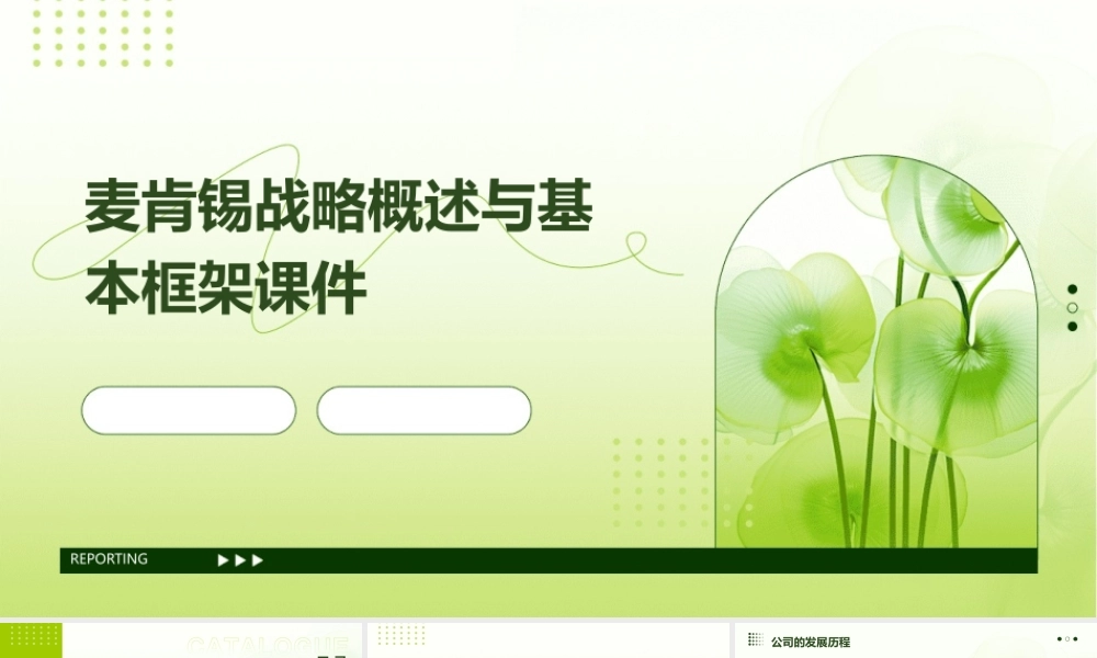 麦肯锡战略概述与基本框架课件