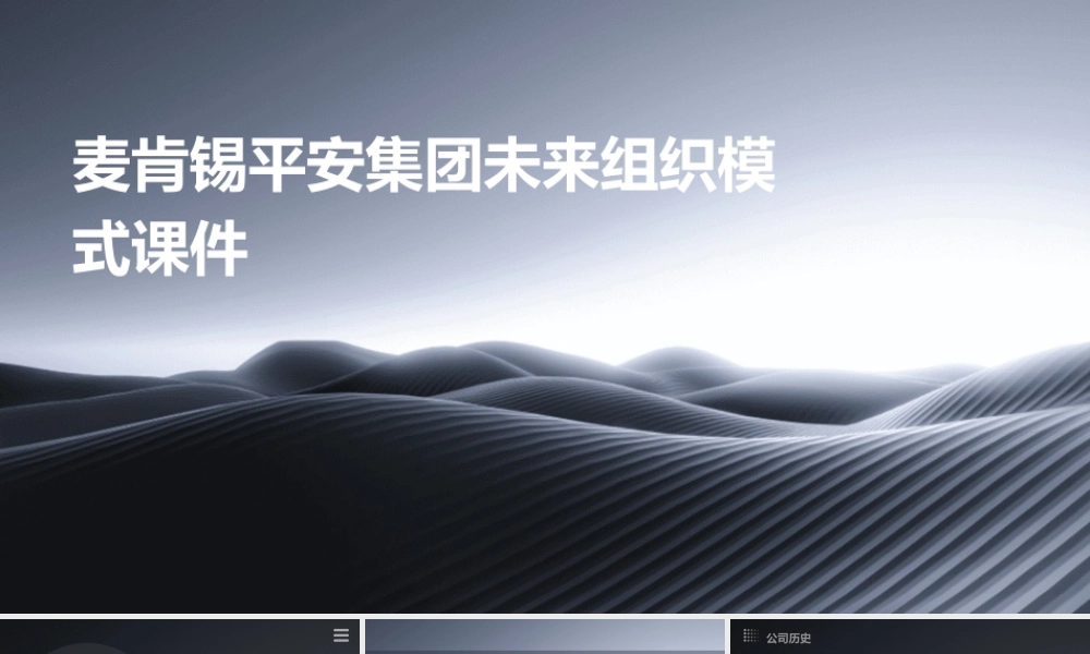 麦肯锡平安集团未来组织模式课件