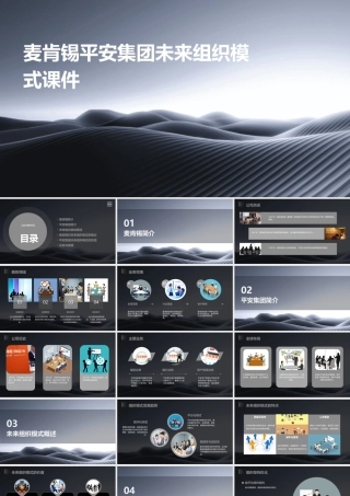 麦肯锡平安集团未来组织模式课件