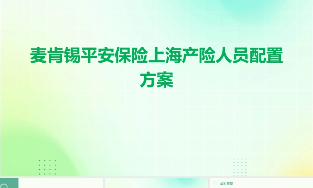 麦肯锡平安保险上海产险人员配置方案课件