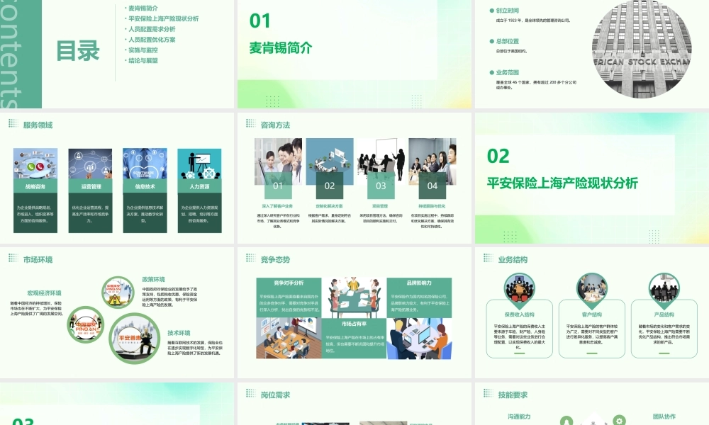 麦肯锡平安保险上海产险人员配置方案课件