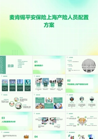 麦肯锡平安保险上海产险人员配置方案课件