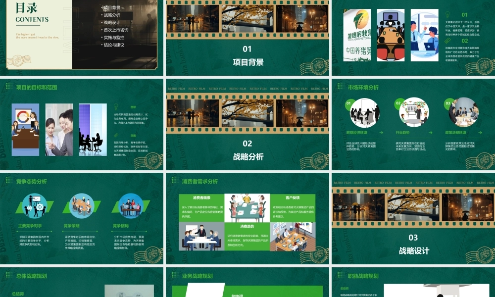 麦肯锡协助天狮集团战略设计和首次上市咨询报告课件