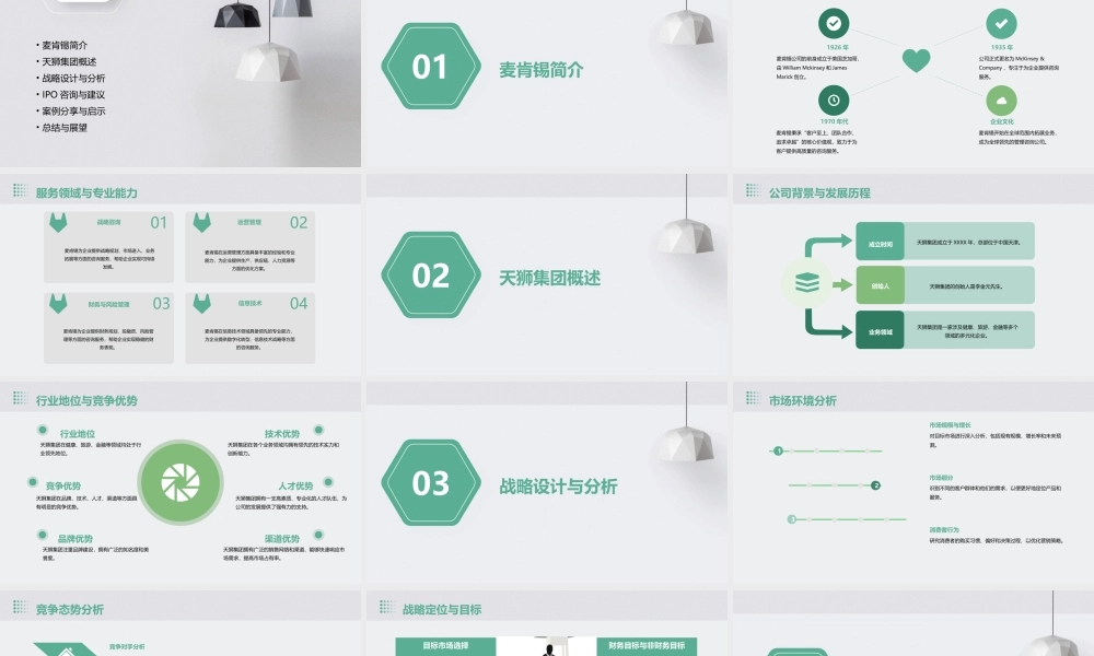 麦肯锡天狮集团战略设计与IPO咨询报告课件