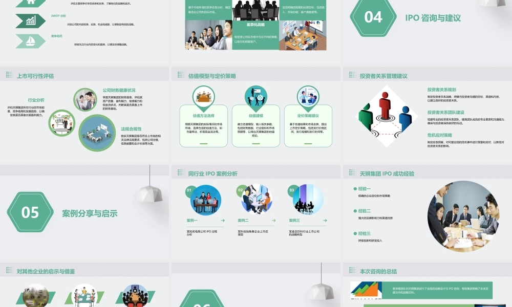 麦肯锡天狮集团战略设计与IPO咨询报告课件