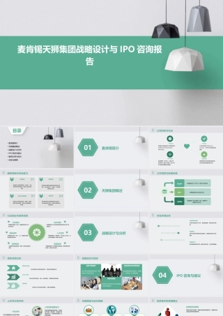 麦肯锡天狮集团战略设计与IPO咨询报告课件
