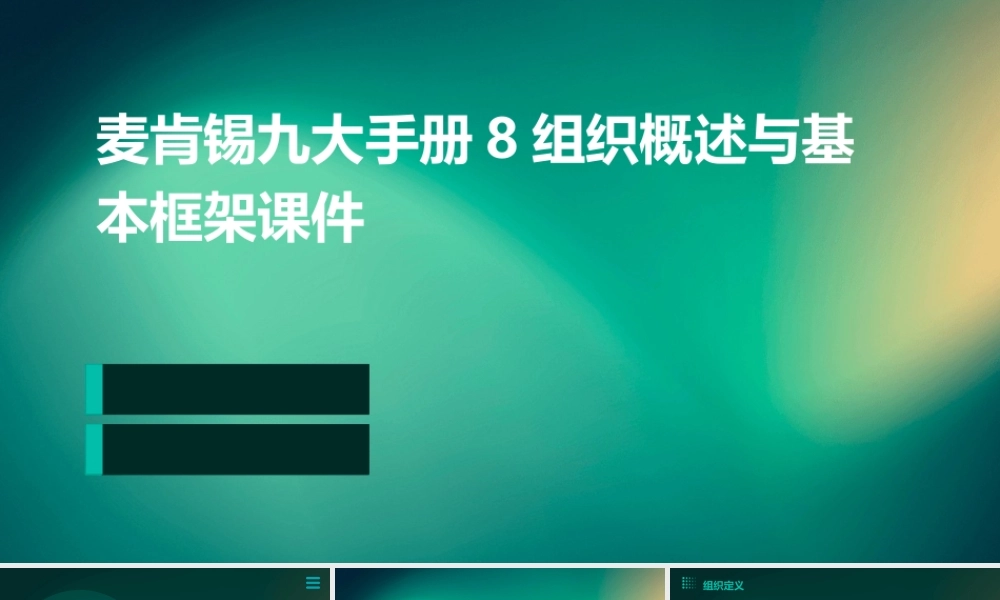 麦肯锡九大手册8组织概述与基本框架课件