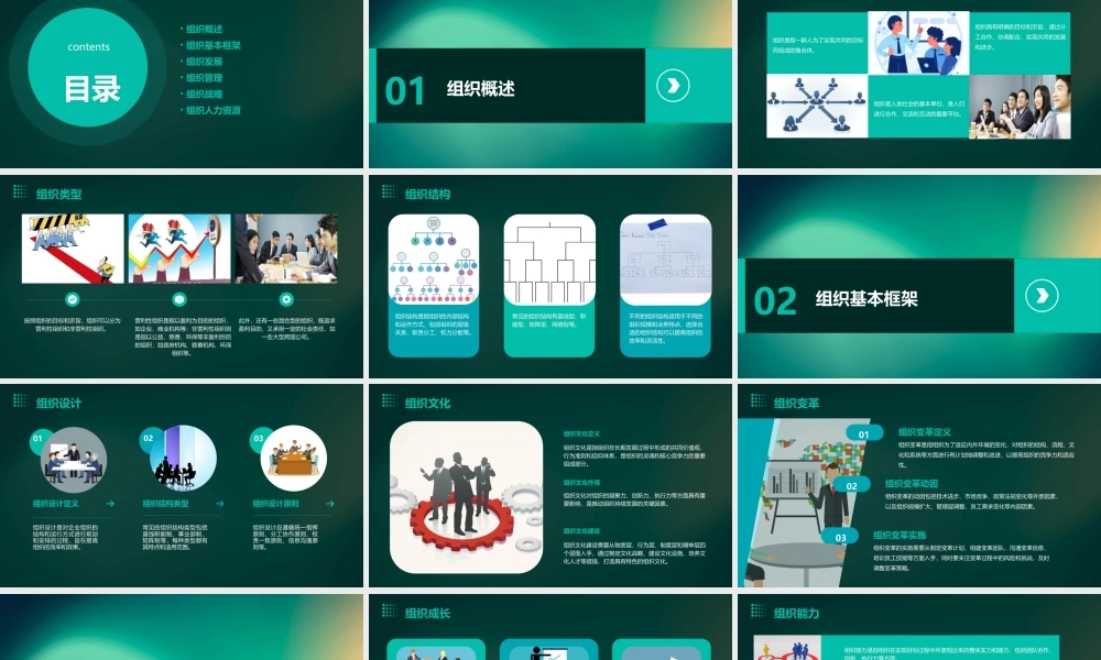 麦肯锡九大手册8组织概述与基本框架课件