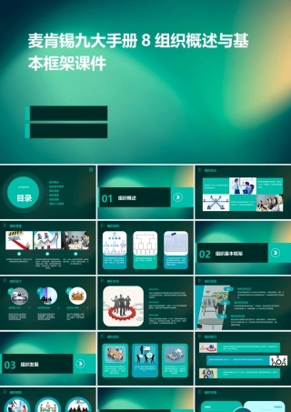 麦肯锡九大手册8组织概述与基本框架课件