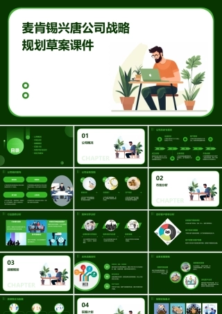 麦肯锡兴唐公司战略规划草桉课件