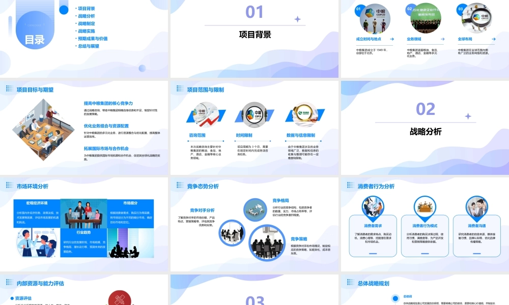 麦肯锡中粮集团战略咨询报告课件