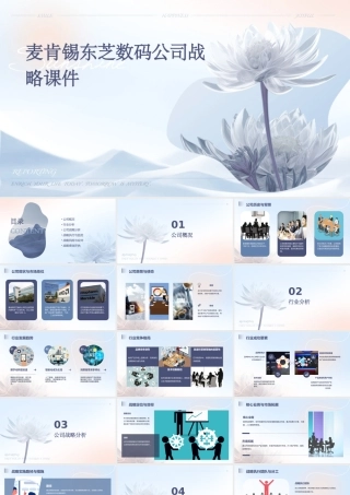 麦肯锡东芝数码公司战略课件