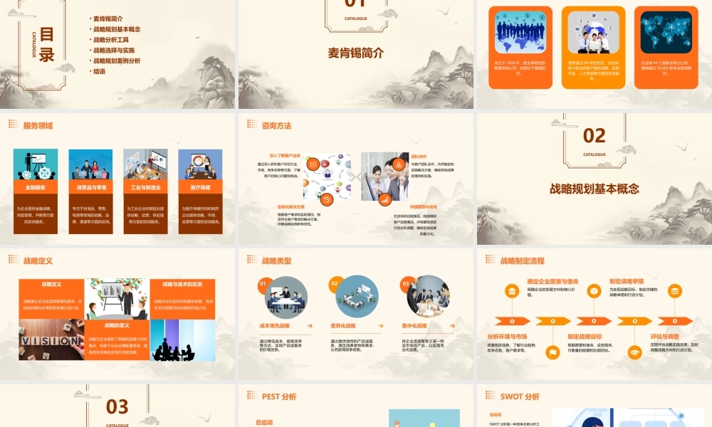 麦肯锡——战略规划课件