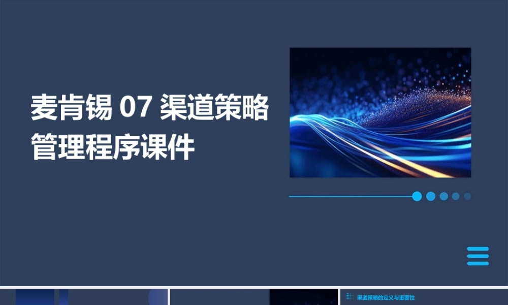 麦肯锡07渠道策略管理程序课件