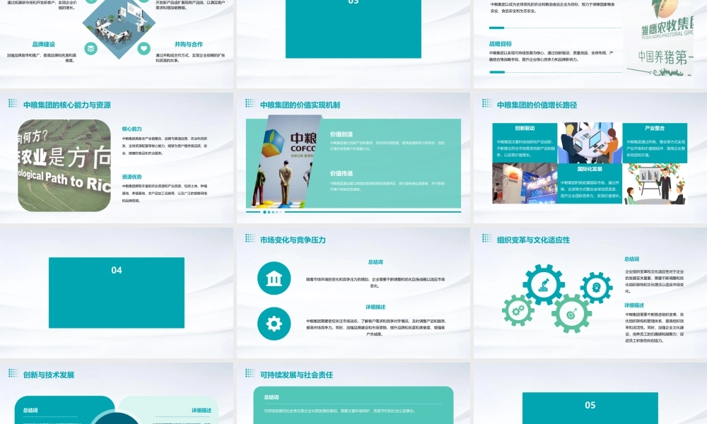 麦肯锡][以价值为导向的企业战略规划][中粮集团课件
