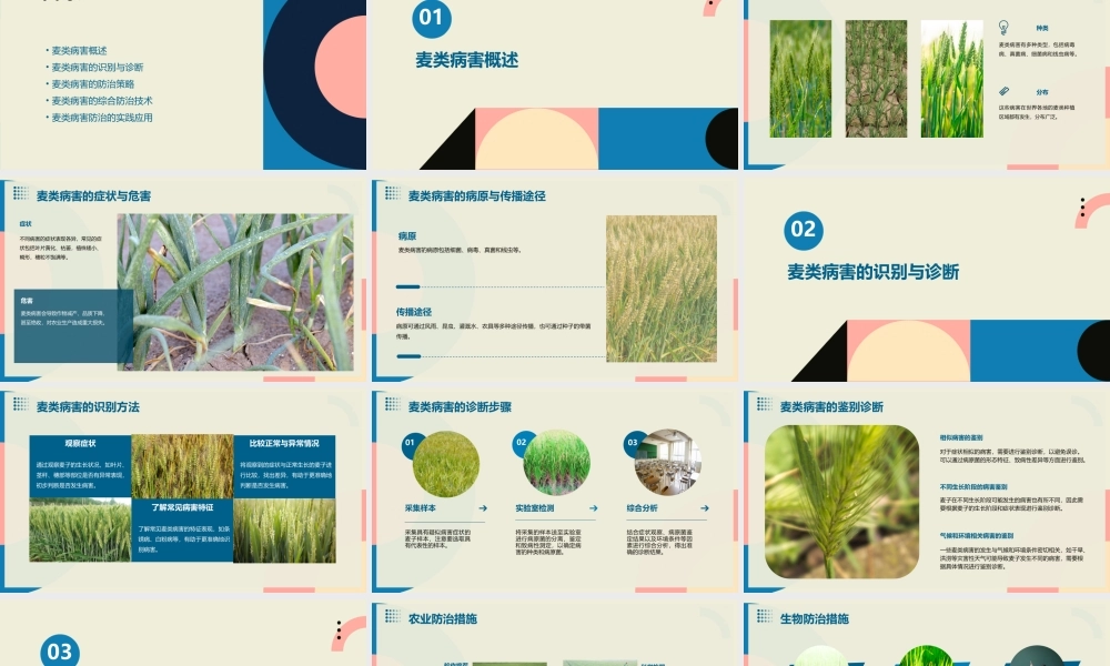 麦类病害及其综合防治课件
