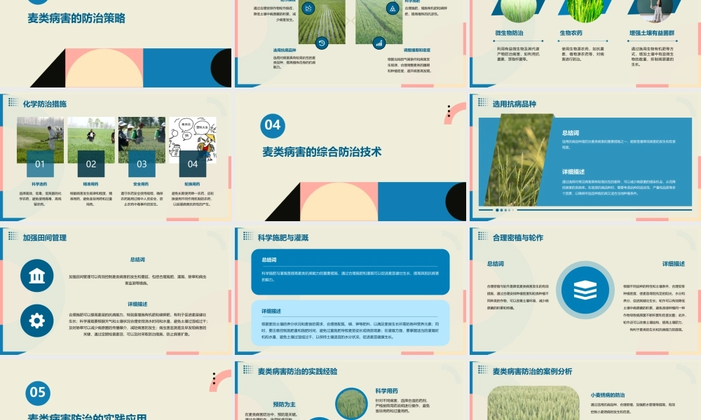 麦类病害及其综合防治课件