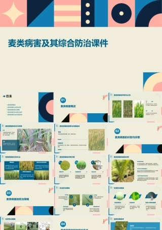 麦类病害及其综合防治课件