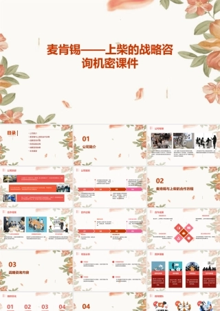 麦肯锡——上柴的战略咨询机密课件