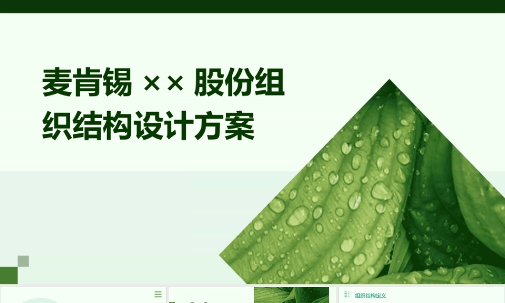 麦肯锡××股份组织结构设计方案课件