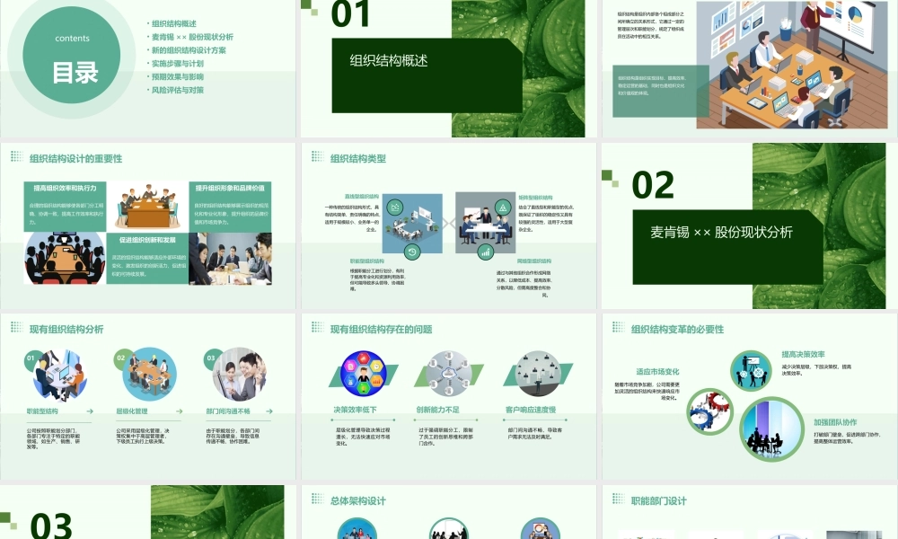 麦肯锡××股份组织结构设计方案课件