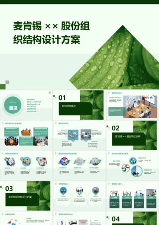 麦肯锡××股份组织结构设计方案课件