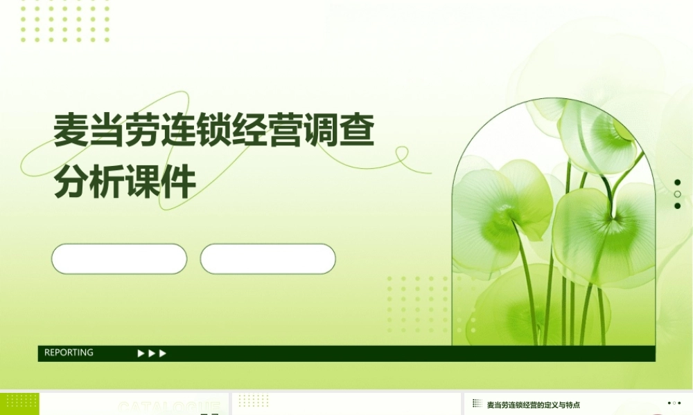 麦当劳连锁经营调查分析课件
