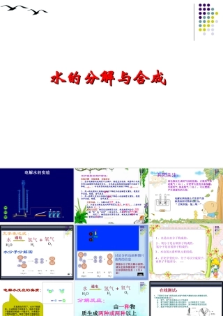 水的分解与合成(定稿)