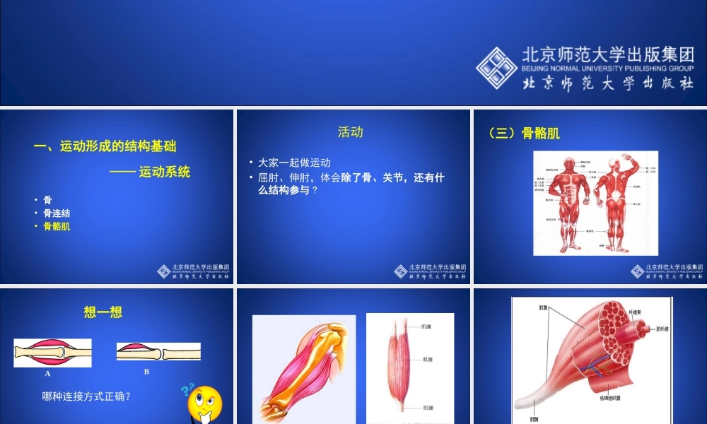 动物运动的形成（第四课时）