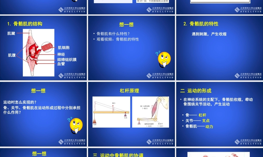 动物运动的形成（第四课时）