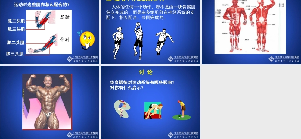 动物运动的形成（第四课时）