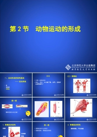 动物运动的形成（第四课时）