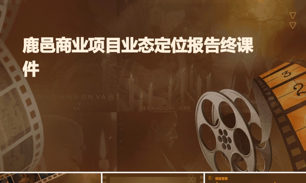 鹿邑商业项目业态定位报告终课件