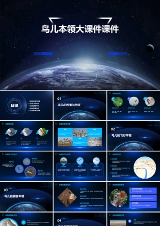 鸟儿本领大课件课件