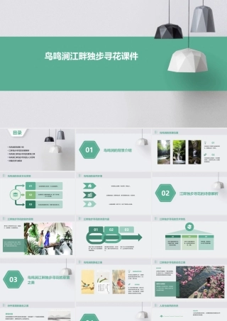 鸟鸣涧江畔独步寻花课件