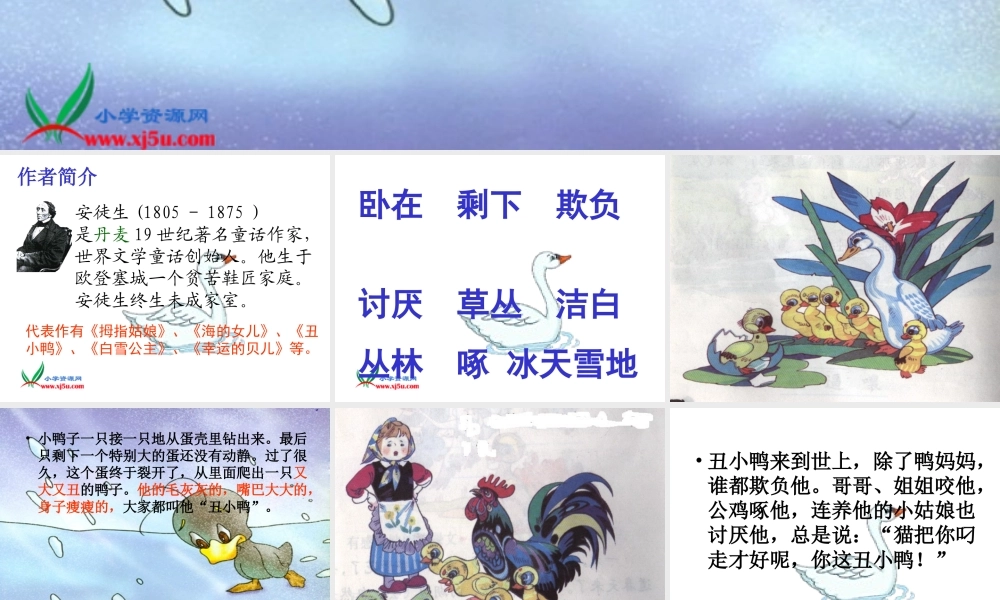 鄂教版二年级语文下册《丑小鸭_3》PPT课件