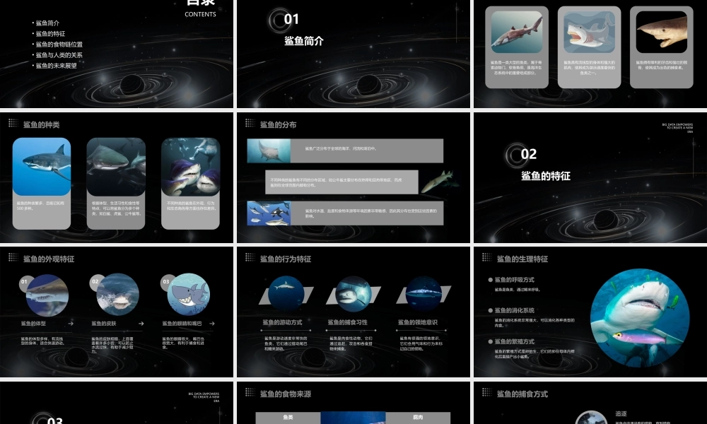 鲨鱼(丰富有趣的课堂)课件