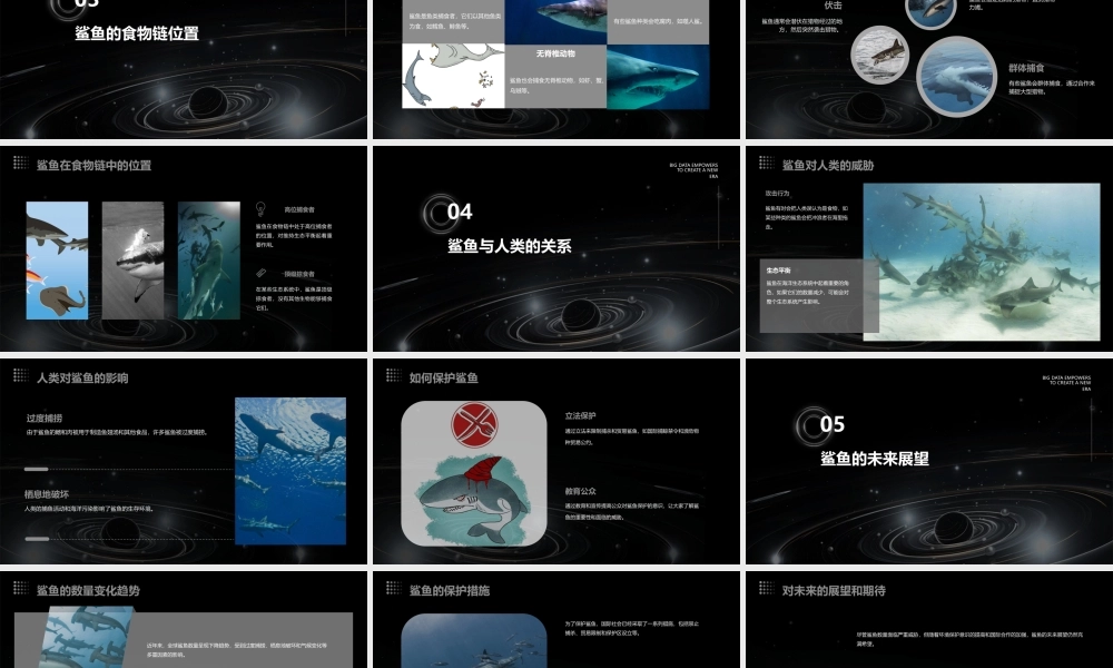 鲨鱼(丰富有趣的课堂)课件