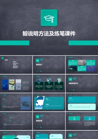 鲸说明方法及练笔课件