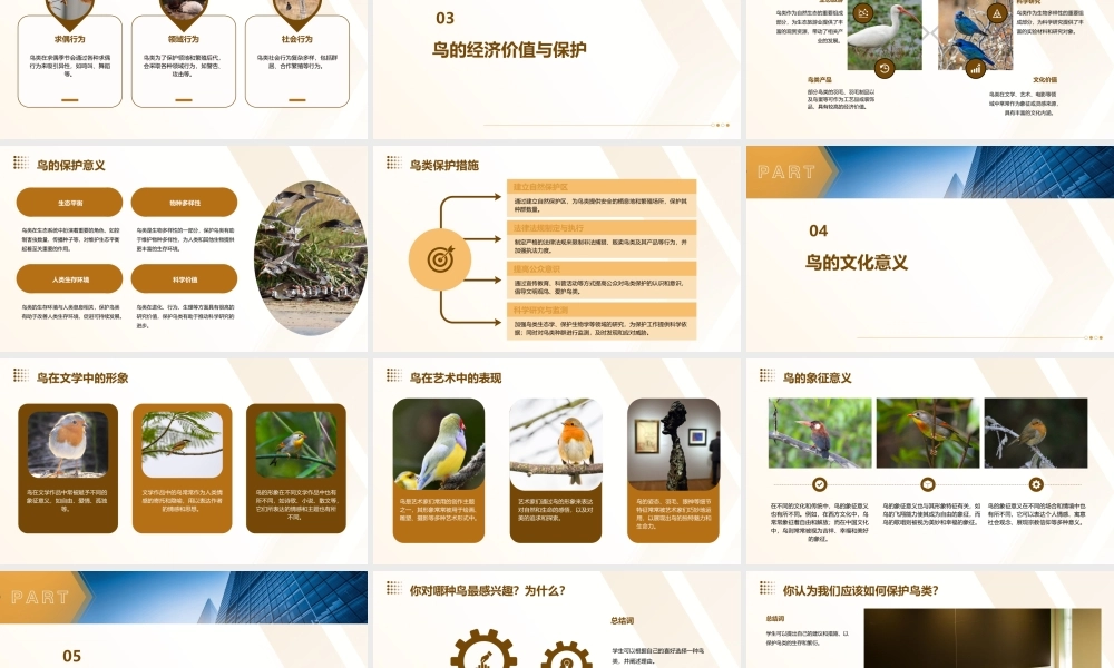 鸟(部编人教版七年级上)详解课件