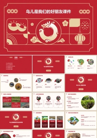 鸟儿是我们的好朋友课件