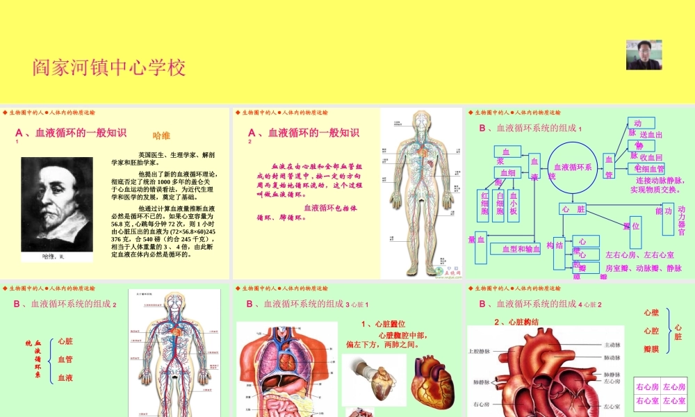 人体内的物质运输（丁家志）