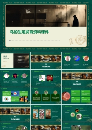 鸟的生殖发育资料课件