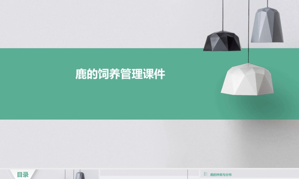 鹿的饲养管理课件