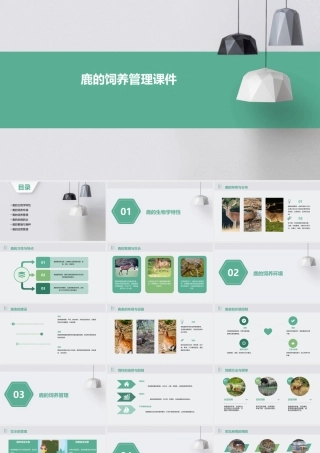 鹿的饲养管理课件
