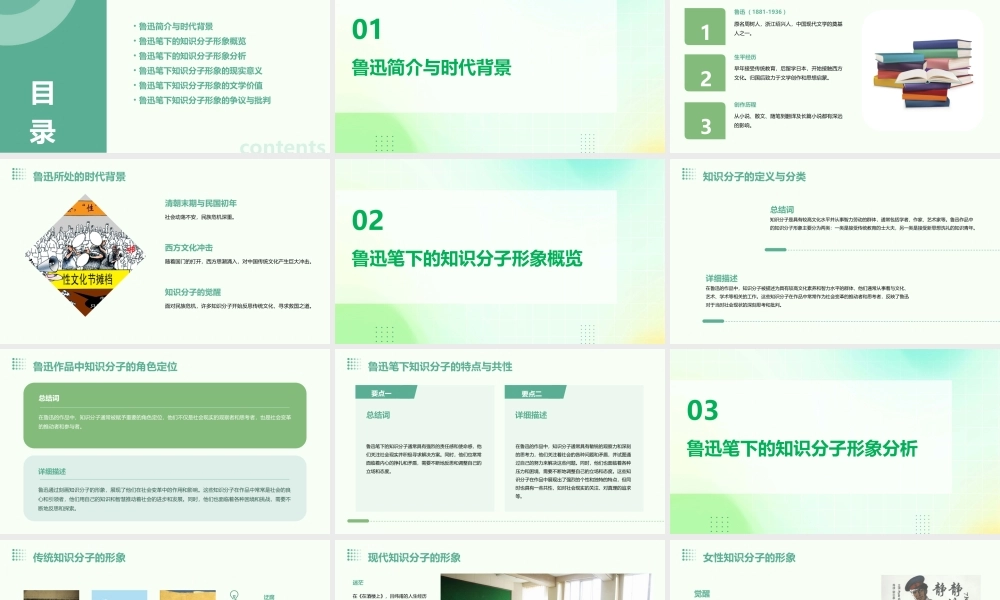 鲁迅笔下的知识分子形象课件